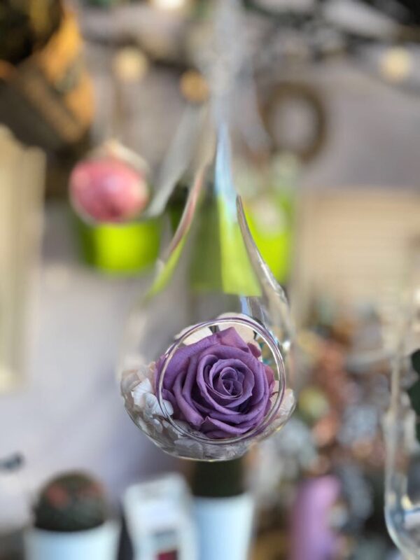 Gota colgante con rosa preservada