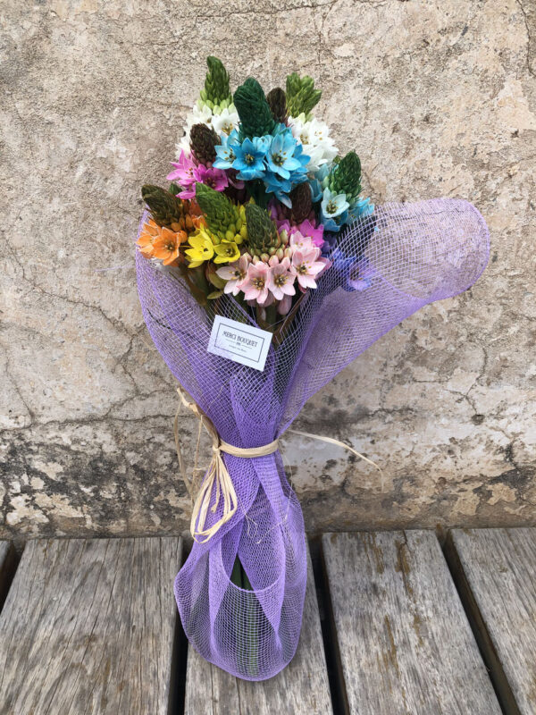 Bouquet de Ornithogalums mix, una flor de temporada muy duradera