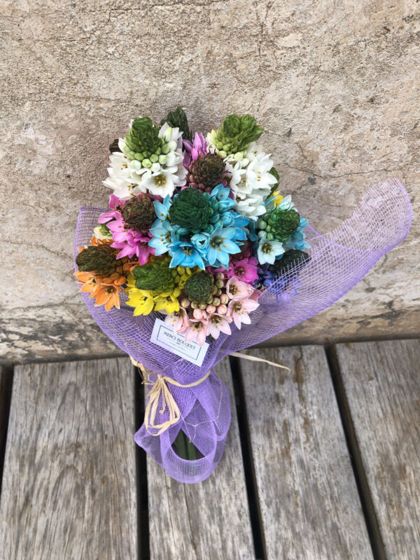 Bouquet de Ornithogalums mix, una flor de temporada muy duradera - Imagen 3