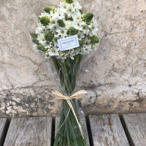 Bouquet de Ornithogalums, una flor de temporada muy duradera