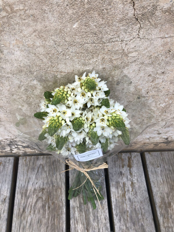 Bouquet de Ornithogalums, una flor de temporada muy duradera - Imagen 2