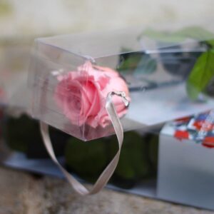 Rosa preservada